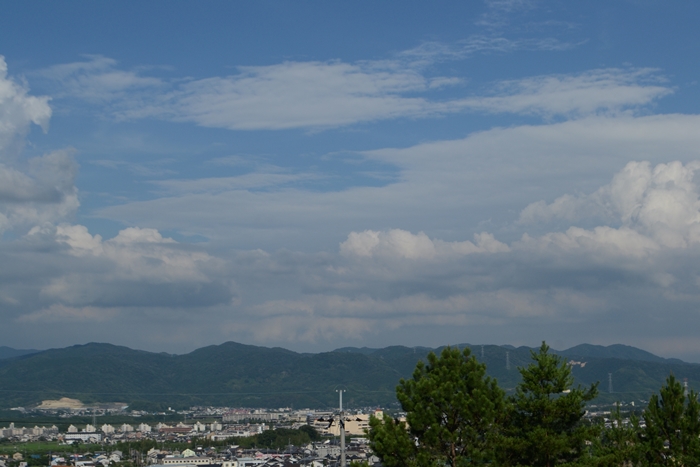 a0240403_9581642.jpg