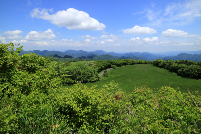 a0357206_20010414.jpg