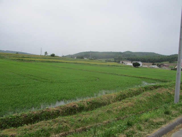 c0292312_22300904.jpg
