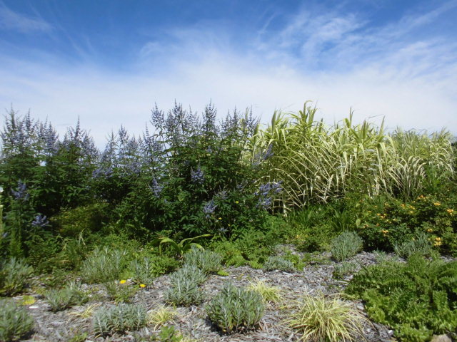 b0181818_10592619.jpg