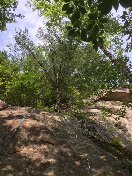 c0210618_18264292.jpg