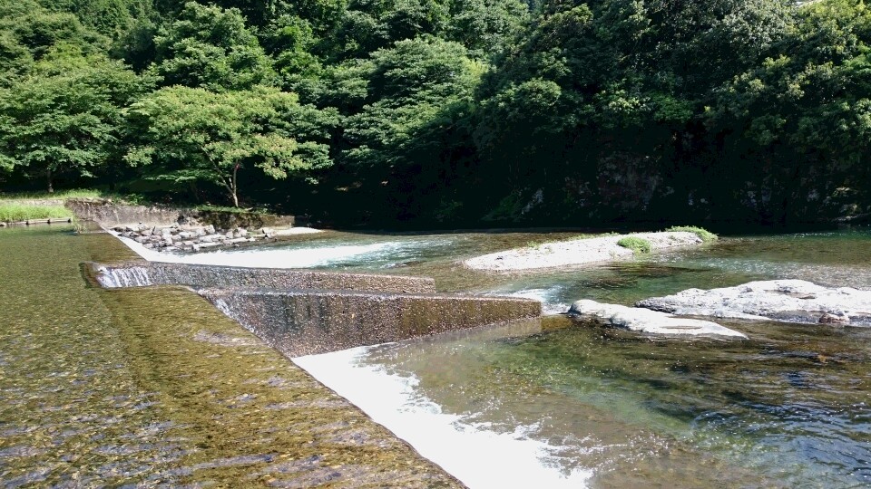 c0221718_19361838.jpg