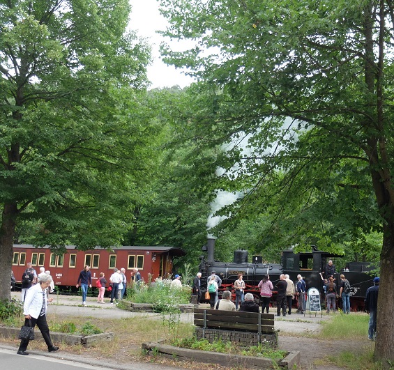 d0171125_6335189.jpg