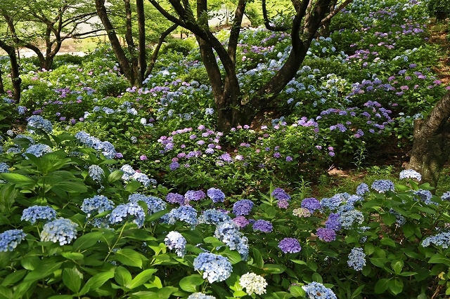 a0242438_20485591.jpg