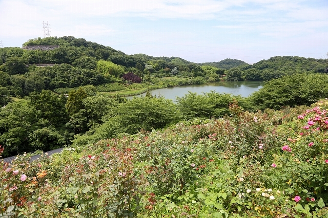 a0242438_20490805.jpg