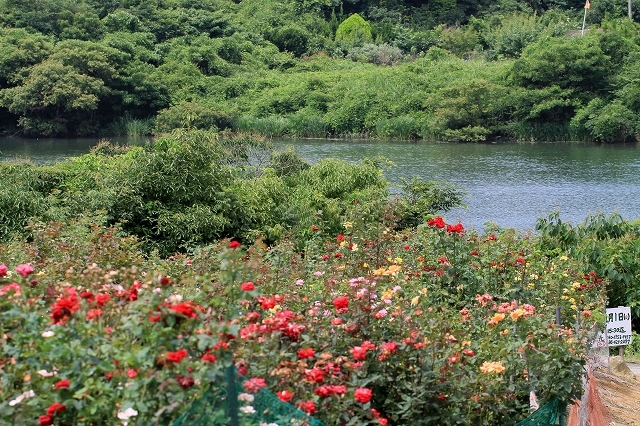 a0242438_20510890.jpg