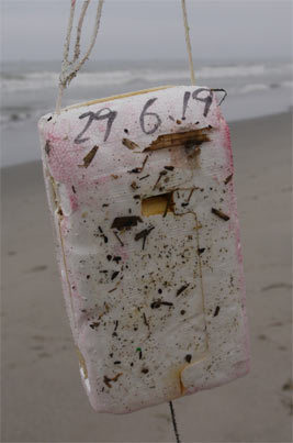 c0019338_22132753.jpg