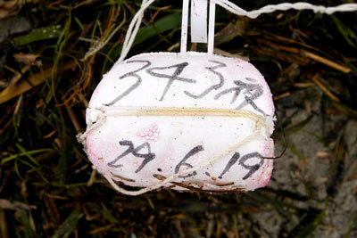 c0019338_22135675.jpg