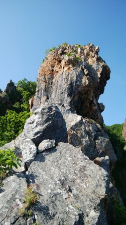 d0107938_108378.jpg