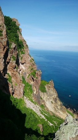 d0107938_1084817.jpg