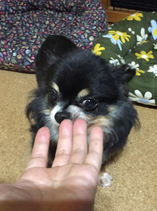 c0342841_07042485.jpg