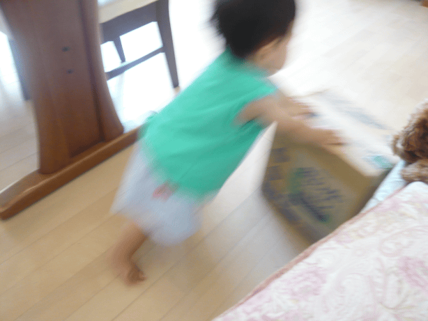 c0365341_22012133.gif