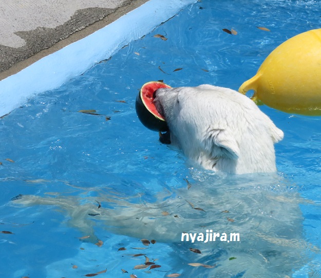 f0002743_114634.jpg