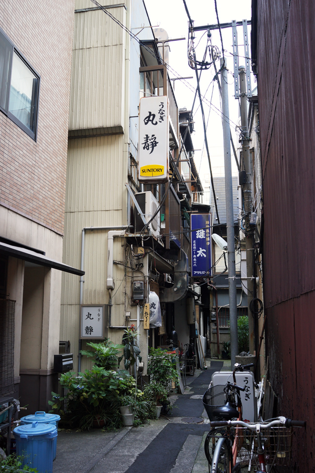 b0049152_17324935.jpg