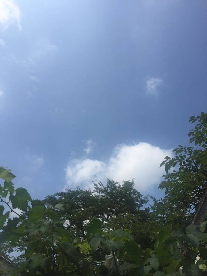 c0115560_11074208.jpg