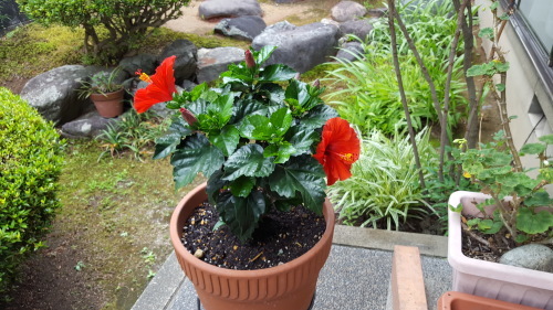 e0327460_15003846.jpg
