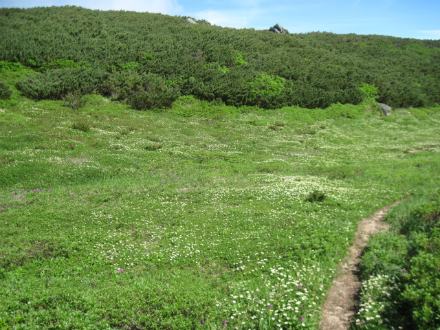 c0219866_07273112.jpg