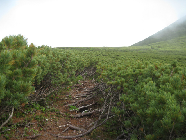 c0219866_07353238.jpg
