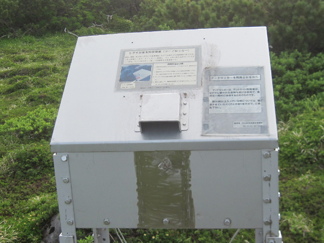 c0219866_07425486.jpg