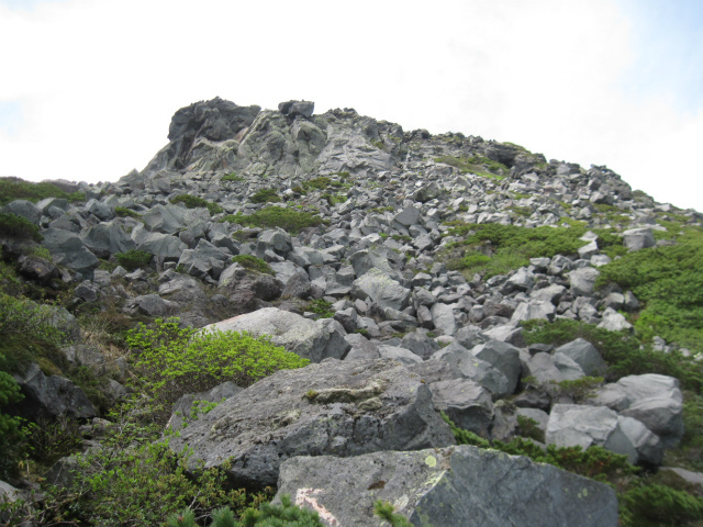 c0219866_12264587.jpg