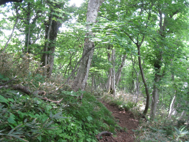 c0219866_12365627.jpg