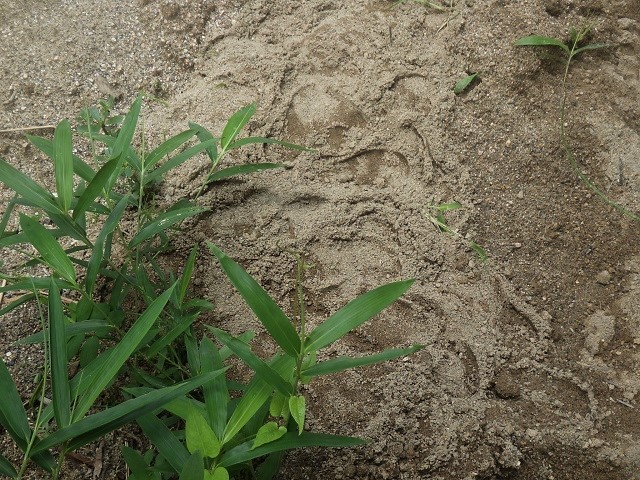 c0105569_00290847.jpg