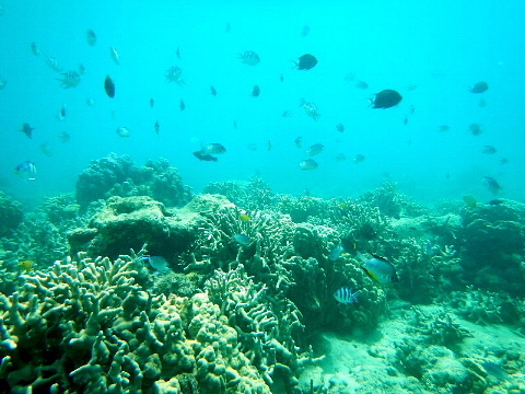 b0141773_16040489.jpg
