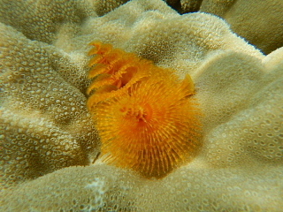 b0141773_16090169.jpg