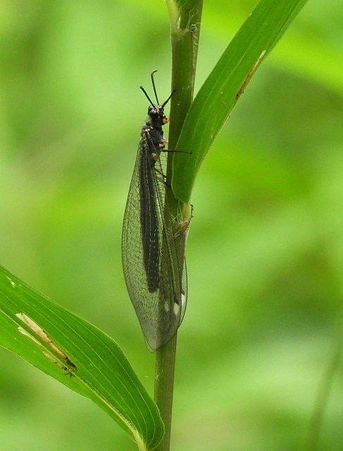 f0378979_17315875.jpg