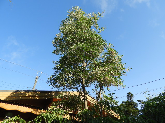 a0157088_22024835.jpg