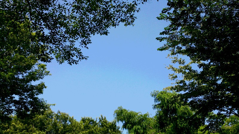 a0168988_3442181.jpg