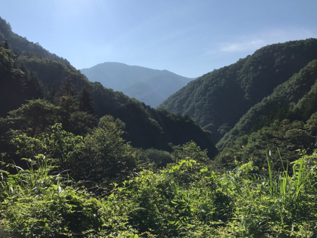 b0122893_22140094.jpg
