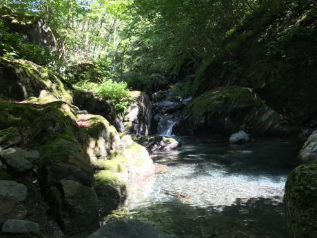 b0122893_22140165.jpg
