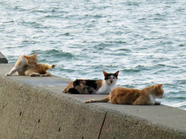 c0233101_21221410.jpg
