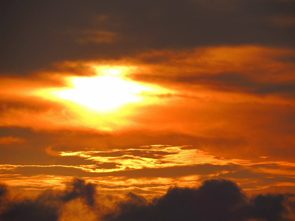 e0372207_22392569.jpg