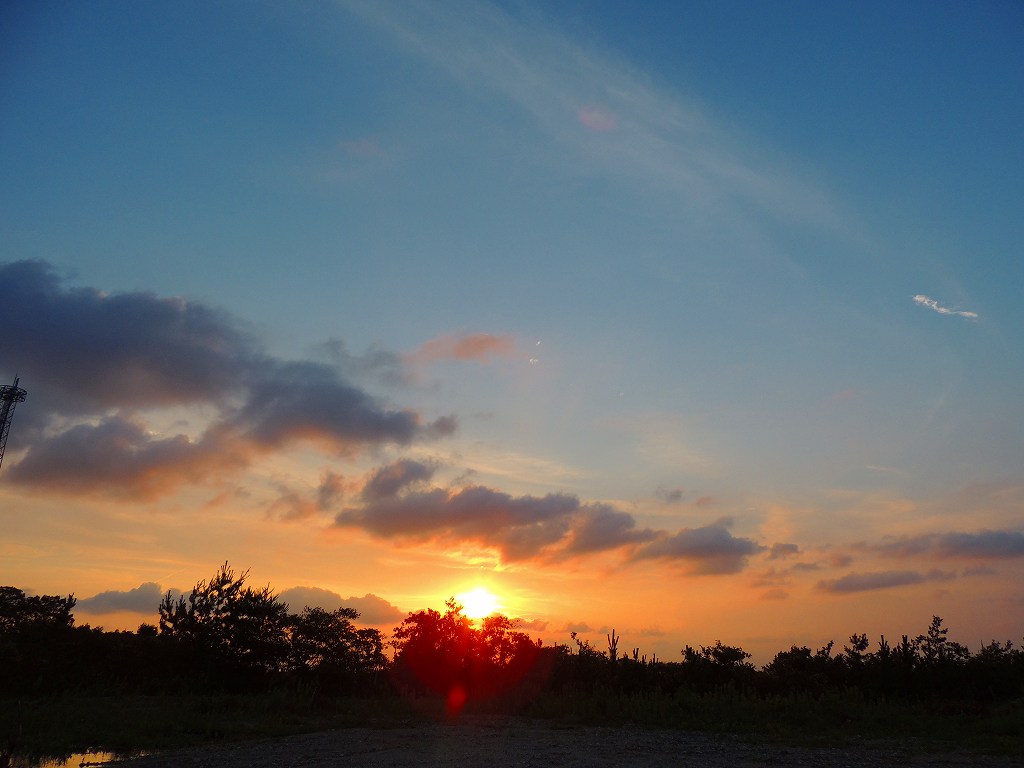 e0372207_224028100.jpg
