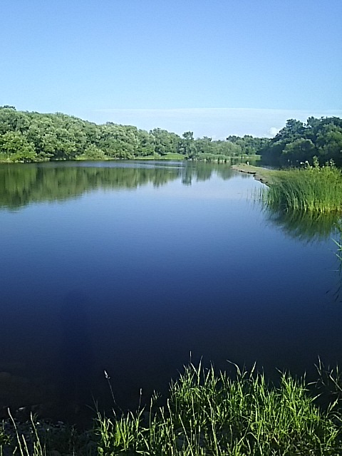 f0316507_05403804.jpg