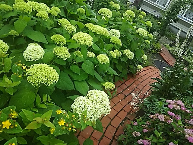f0316507_05424827.jpg