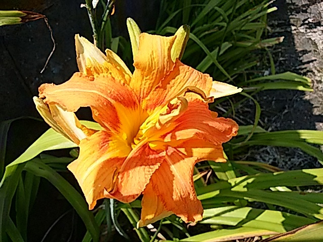 f0231709_13035611.jpg