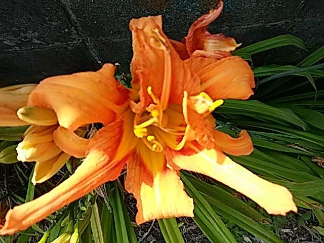 f0231709_13051737.jpg