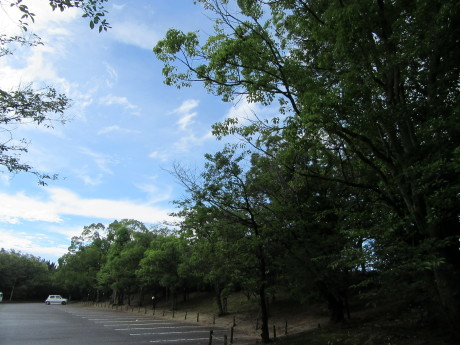 f0231709_14404231.jpg