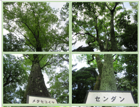 f0231709_14413163.png