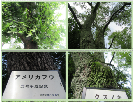 f0231709_14422738.png