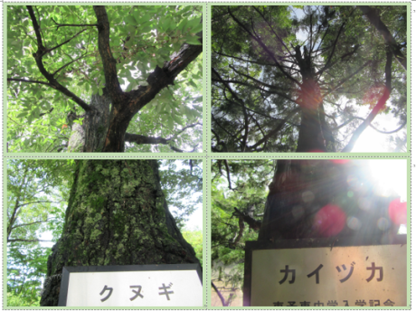f0231709_14425422.png