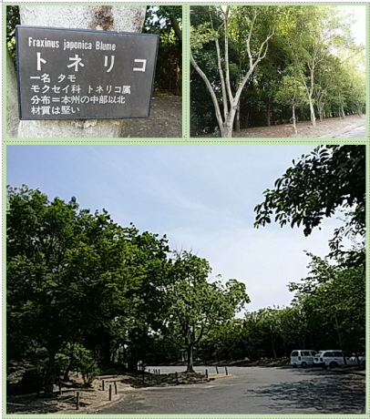 f0231709_14432045.png