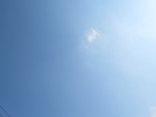 f0325309_14463203.jpg