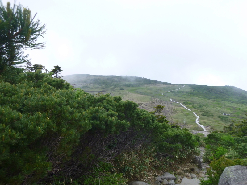d0170615_16320135.jpg