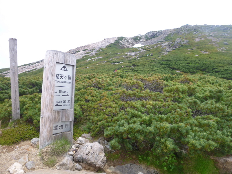 d0170615_16335459.jpg
