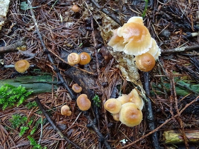 f0360815_14515424.jpg