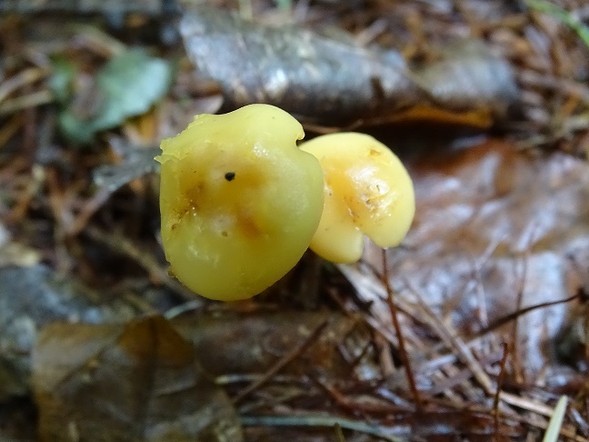 f0360815_14515595.jpg